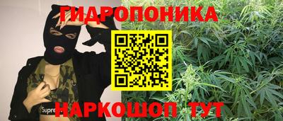 дурь Будённовск