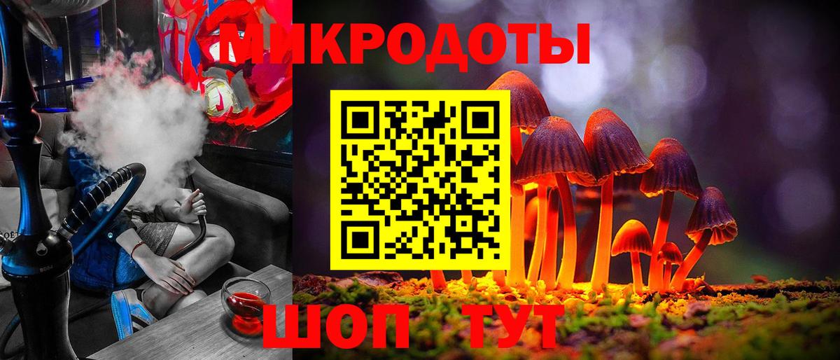 Псилоцибиновые грибы мицелий  Вход с VPN  Сальск 